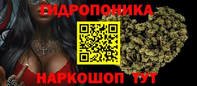 мяу мяу мука Пенза
