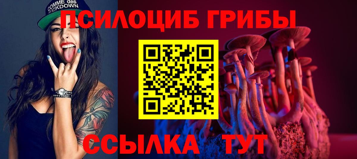 Псилоцибиновые грибы мухоморы Рубцовск